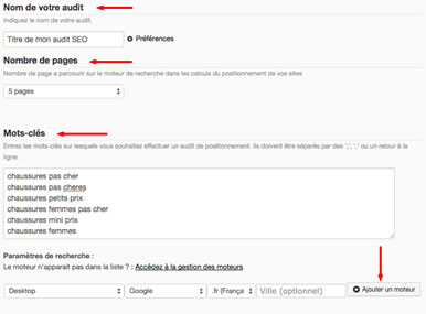 audit seo