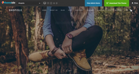 ecommerce theme