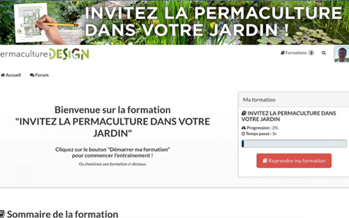 progression formation en ligne