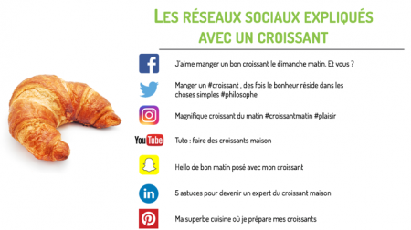 les réseaux sociaux expliqués infographie 