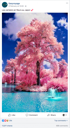 Easyvoyage-cherry-blossom
