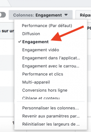 ciblage facebook : colonne engagement