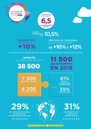 consultant marketing auto-entrepreneur infographie
