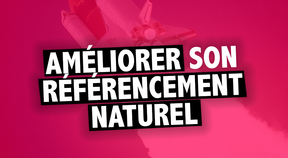 Comment utiliser les visions granulaires et macroscopiques pour améliorer le référencement d'un site internet ?